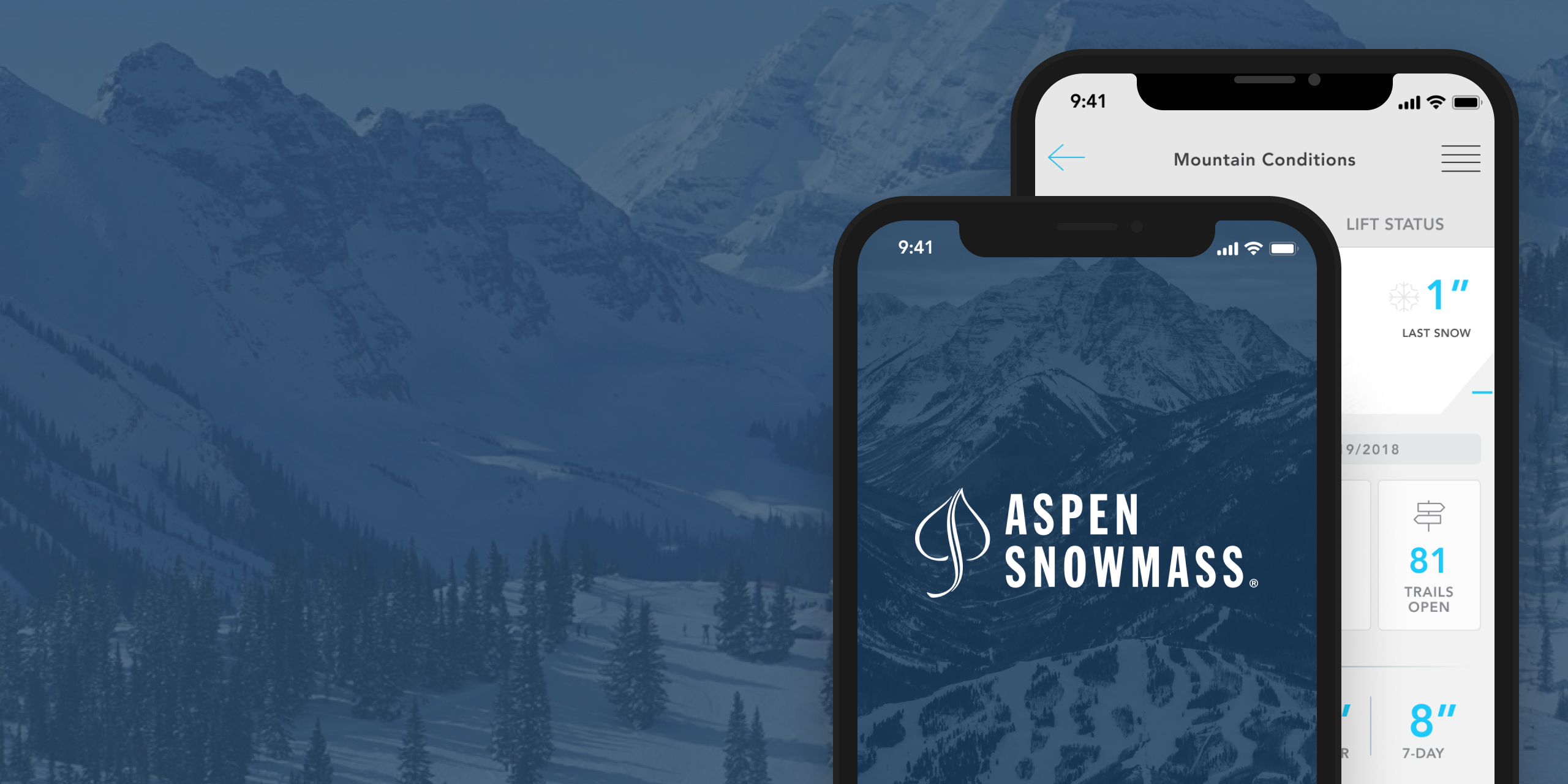 Aspen Background Image